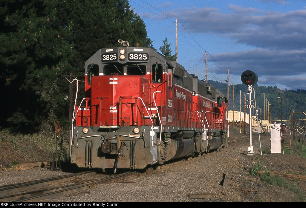 CORP 3825